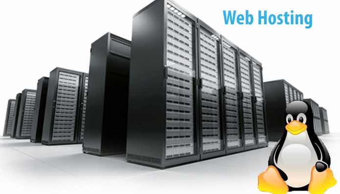 What Is Reseller Web Hosting